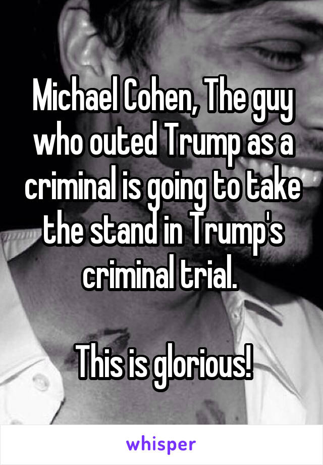 Michael Cohen, The guy who outed Trump as a criminal is going to take the stand in Trump's criminal trial. 

This is glorious!