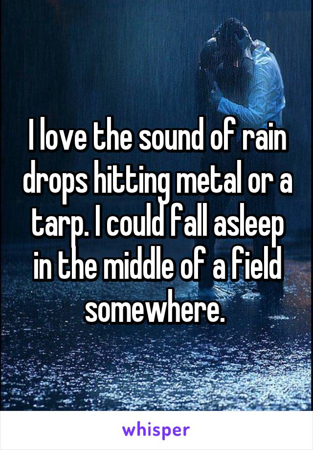 I love the sound of rain drops hitting metal or a tarp. I could fall asleep in the middle of a field somewhere. 