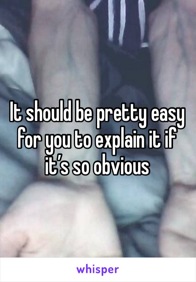 It should be pretty easy for you to explain it if it’s so obvious 