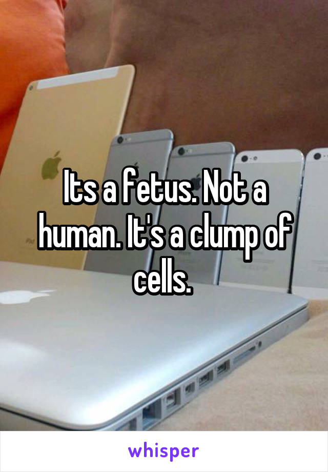 Its a fetus. Not a human. It's a clump of cells. 