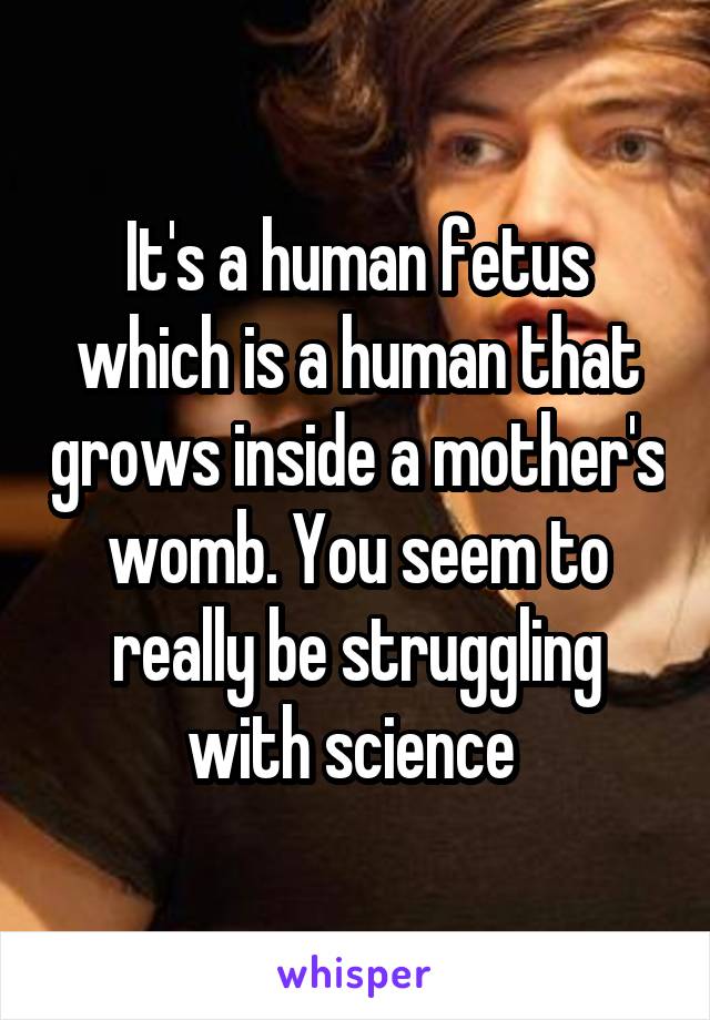 It's a human fetus which is a human that grows inside a mother's womb. You seem to really be struggling with science 