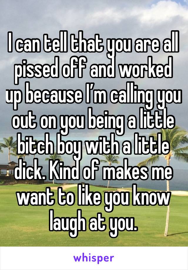 I can tell that you are all pissed off and worked up because I’m calling you out on you being a little bitch boy with a little dick. Kind of makes me want to like you know laugh at you.