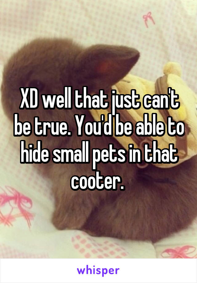 XD well that just can't be true. You'd be able to hide small pets in that cooter. 