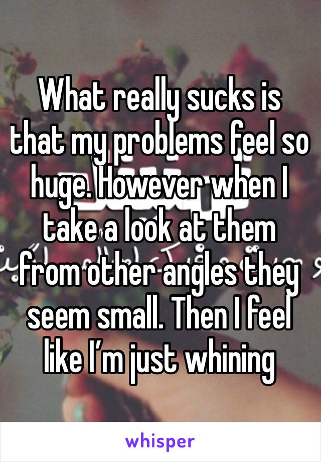 What really sucks is that my problems feel so huge. However when I take a look at them from other angles they seem small. Then I feel like I’m just whining 