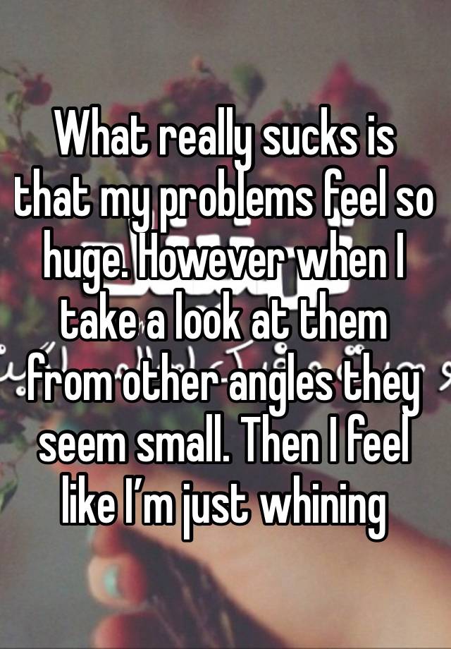 What really sucks is that my problems feel so huge. However when I take a look at them from other angles they seem small. Then I feel like I’m just whining 