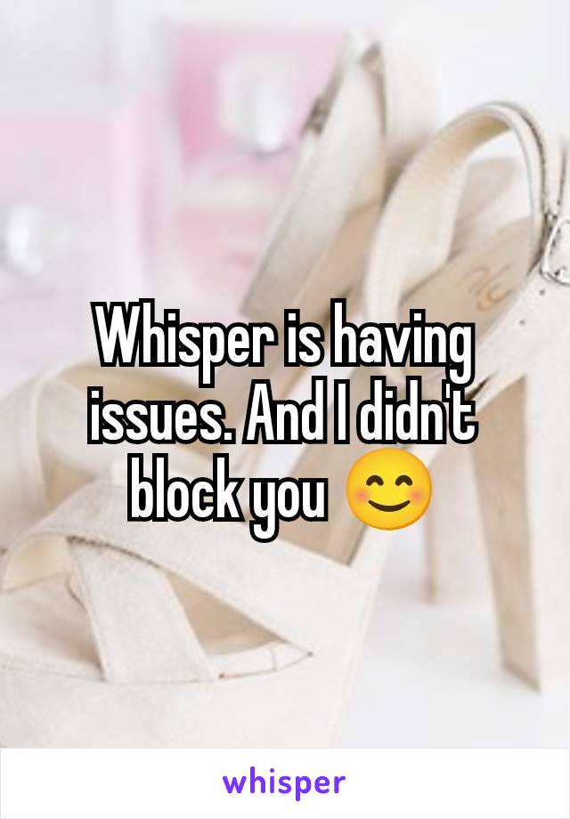 Whisper is having issues. And I didn't block you 😊