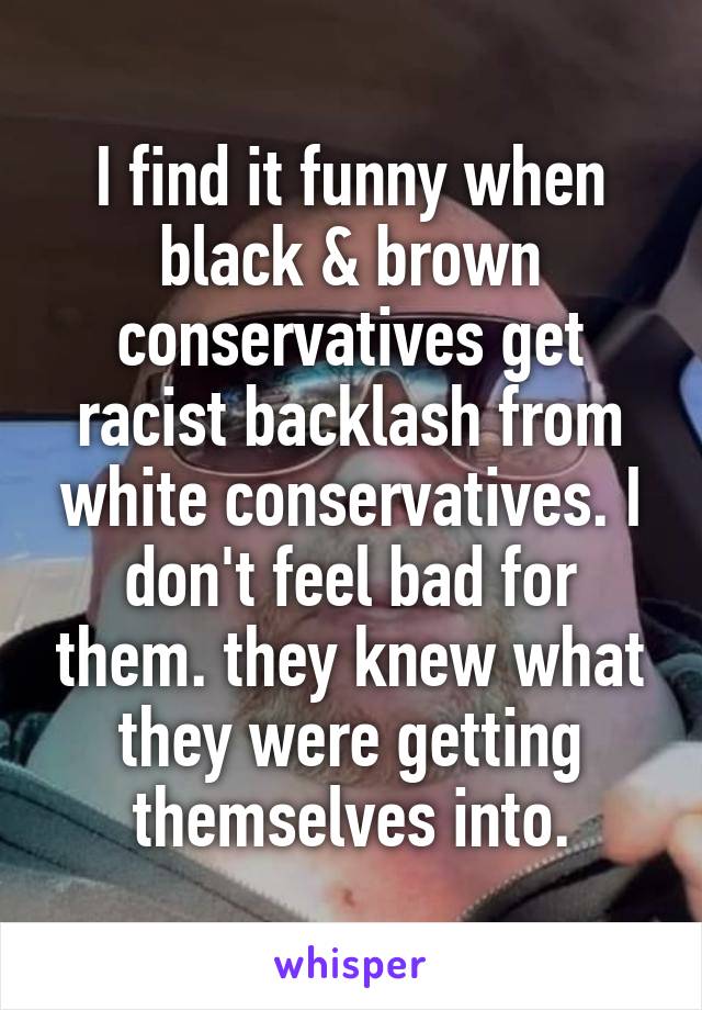 I find it funny when black & brown conservatives get racist backlash from white conservatives. I don't feel bad for them. they knew what they were getting themselves into.