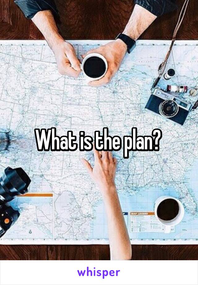 What is the plan? 