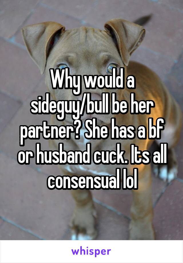 Why would a sideguy/bull be her partner? She has a bf or husband cuck. Its all consensual lol