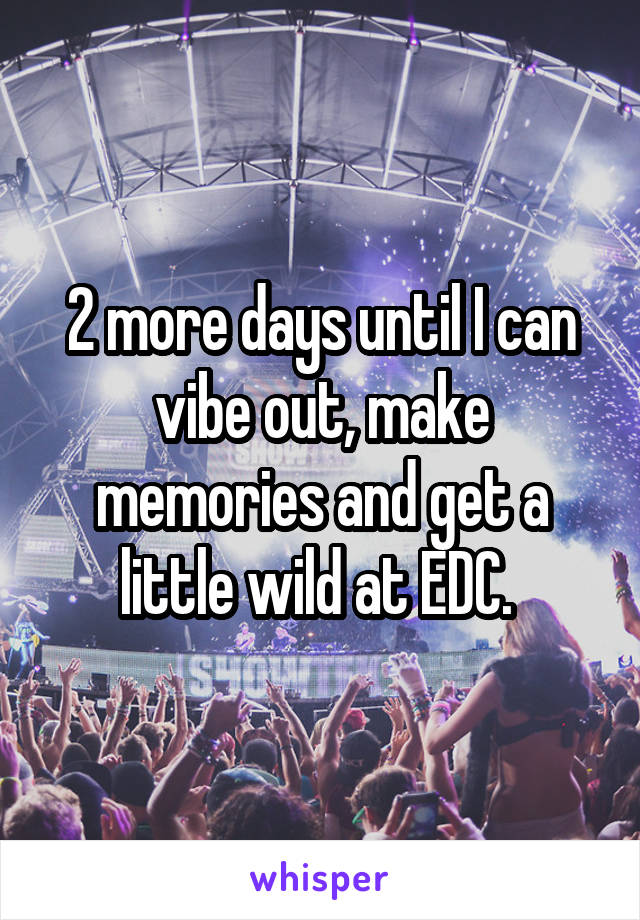 2 more days until I can vibe out, make memories and get a little wild at EDC. 