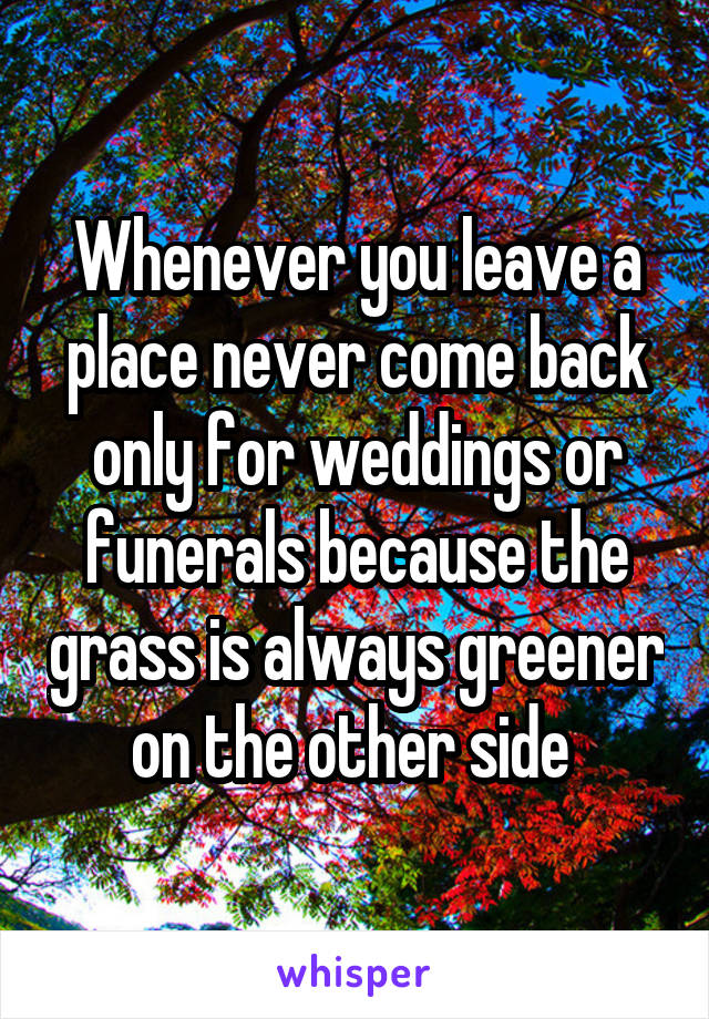 Whenever you leave a place never come back only for weddings or funerals because the grass is always greener on the other side 