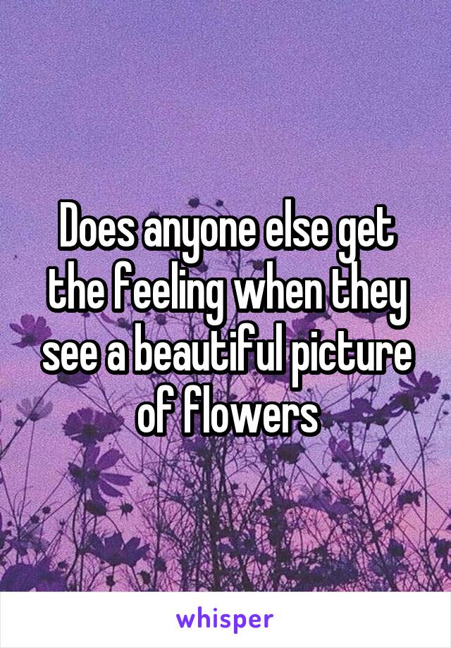 Does anyone else get the feeling when they see a beautiful picture of flowers