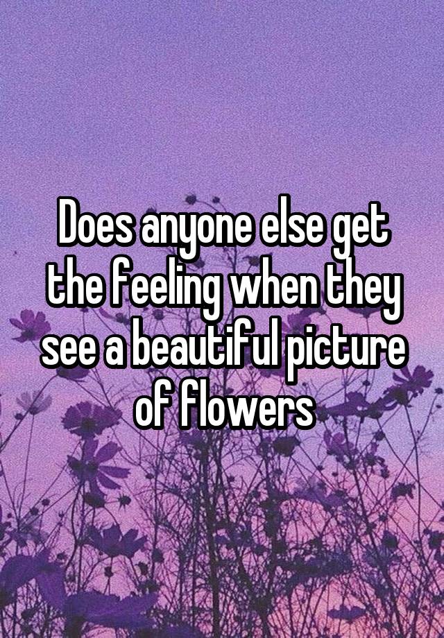 Does anyone else get the feeling when they see a beautiful picture of flowers