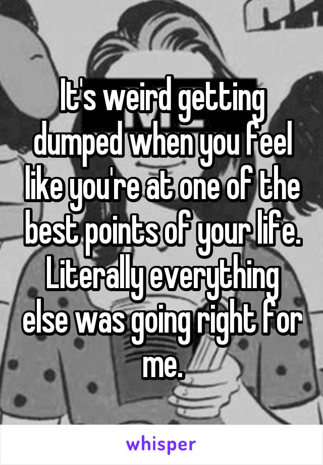 It's weird getting dumped when you feel like you're at one of the best points of your life. Literally everything else was going right for me.