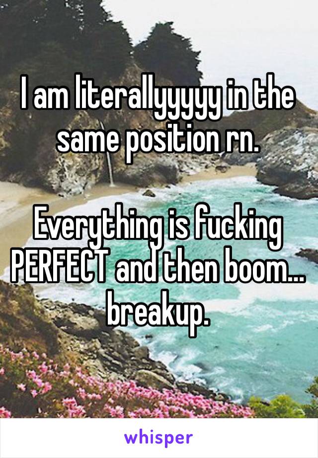 I am literallyyyyy in the same position rn.

Everything is fucking PERFECT and then boom… breakup. 