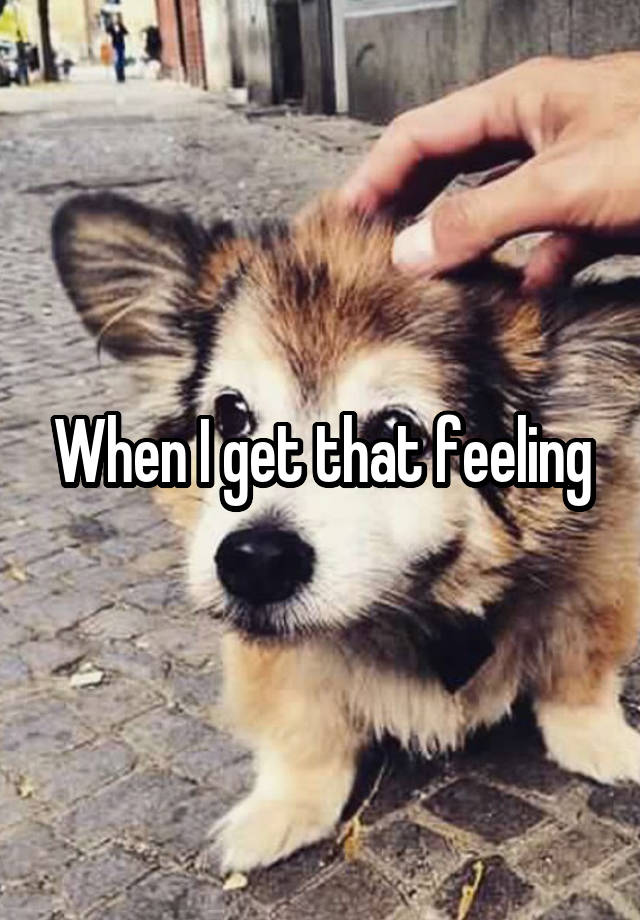 When I get that feeling