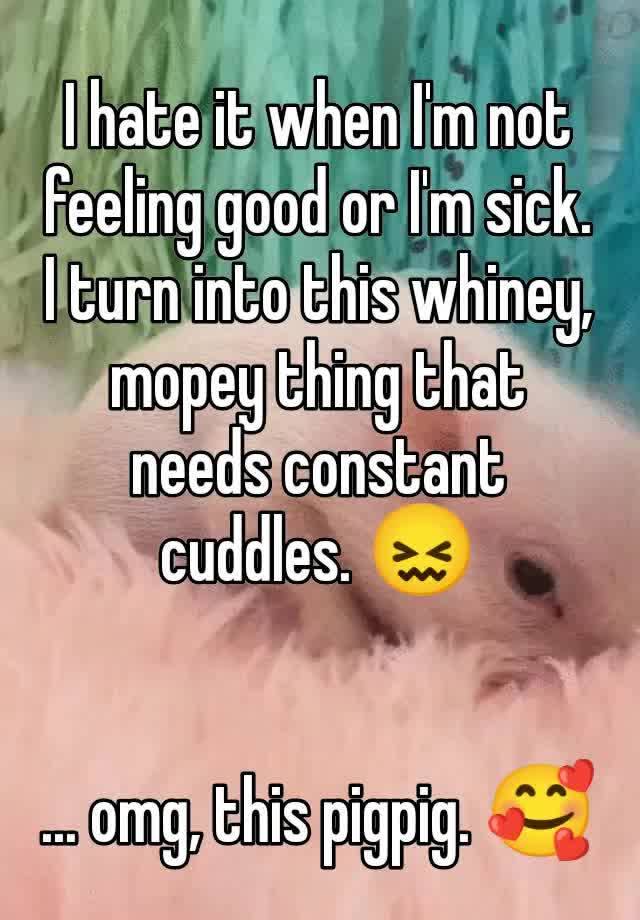 I hate it when I'm not feeling good or I'm sick. I turn into this whiney, mopey thing that needs constant cuddles. 😖


... omg, this pigpig. 🥰