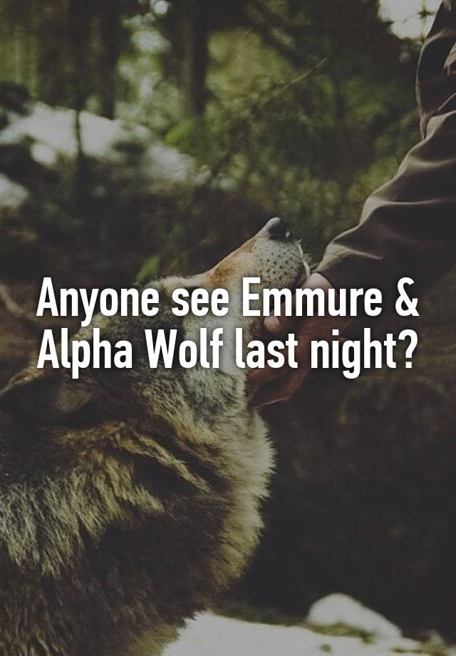 Anyone see Emmure & Alpha Wolf last night?