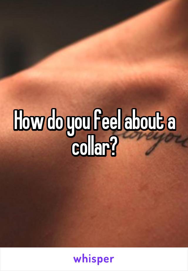 How do you feel about a collar?