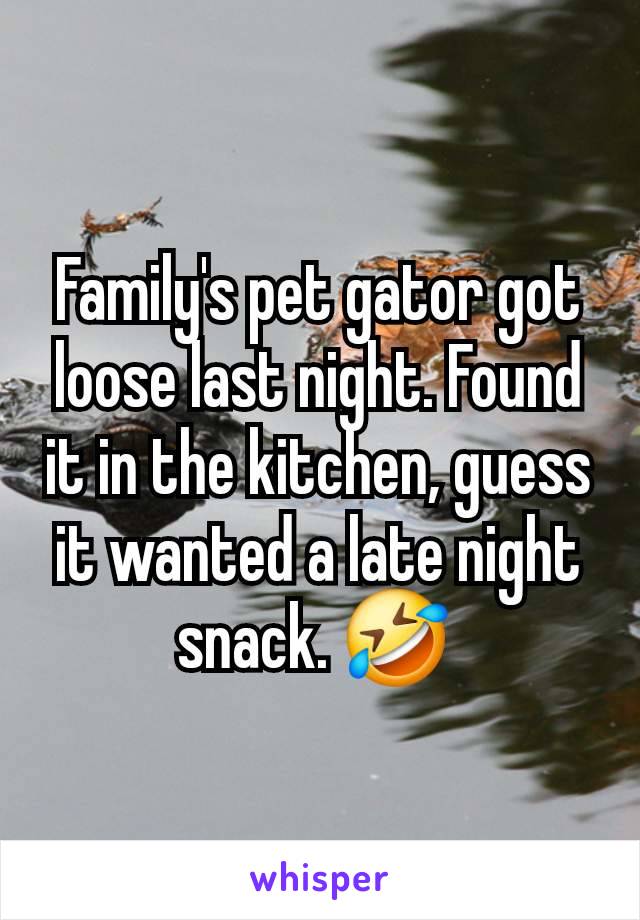 Family's pet gator got loose last night. Found it in the kitchen, guess it wanted a late night snack. 🤣 