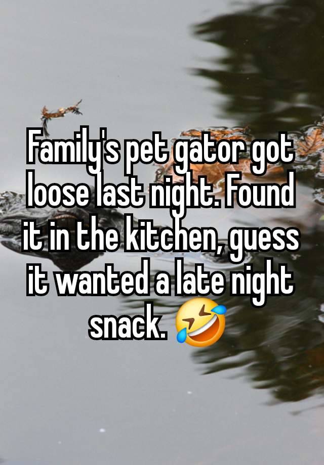 Family's pet gator got loose last night. Found it in the kitchen, guess it wanted a late night snack. 🤣 