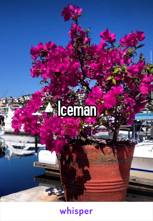 Iceman