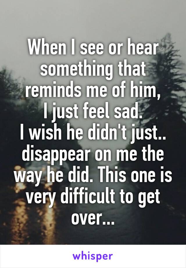 When I see or hear something that reminds me of him,
I just feel sad.
I wish he didn't just.. disappear on me the way he did. This one is very difficult to get over...