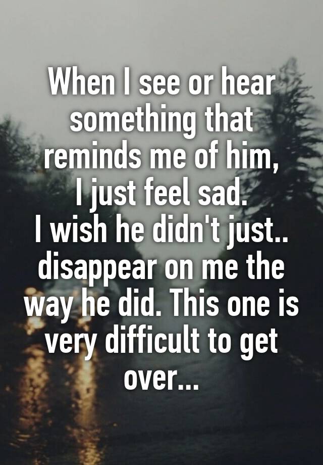 When I see or hear something that reminds me of him,
I just feel sad.
I wish he didn't just.. disappear on me the way he did. This one is very difficult to get over...