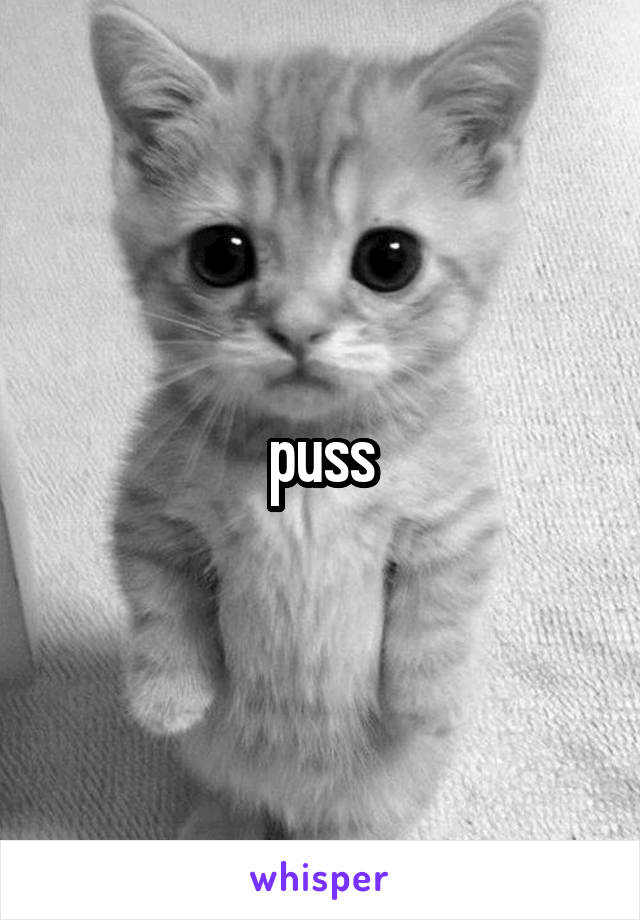 puss