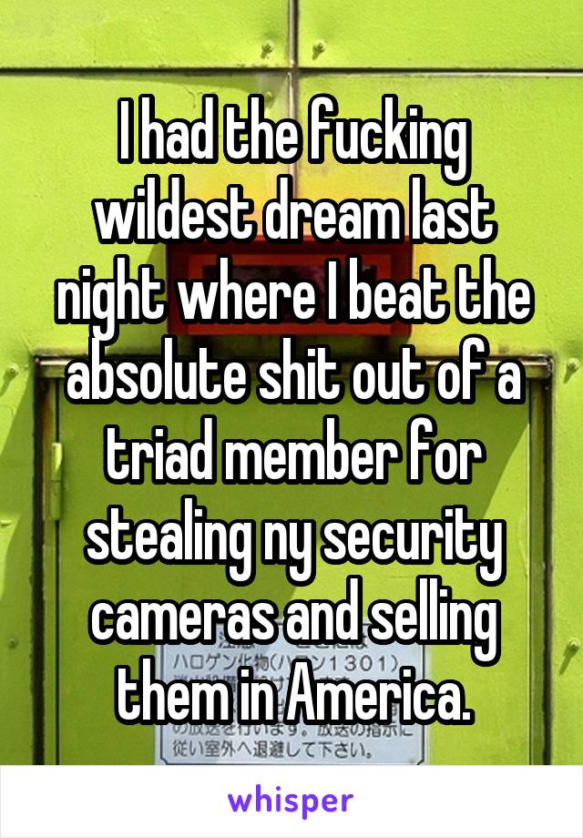 I had the fucking wildest dream last night where I beat the absolute shit out of a triad member for stealing ny security cameras and selling them in America.