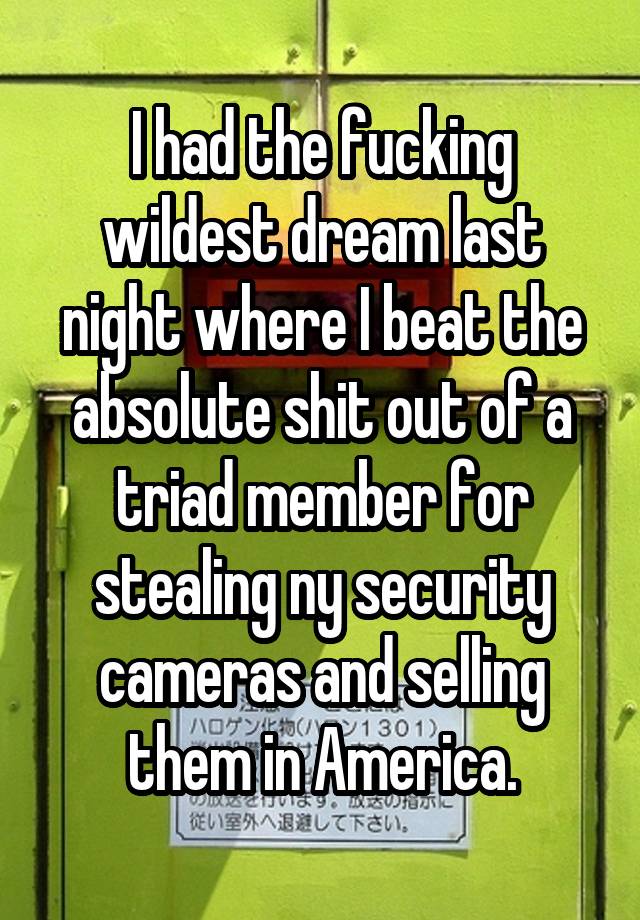 I had the fucking wildest dream last night where I beat the absolute shit out of a triad member for stealing ny security cameras and selling them in America.