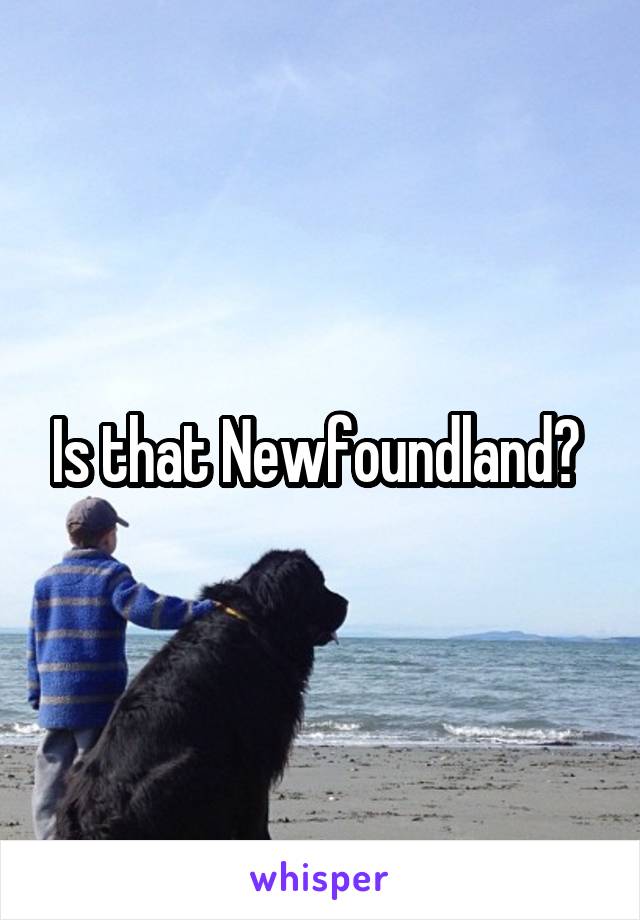 Is that Newfoundland? 