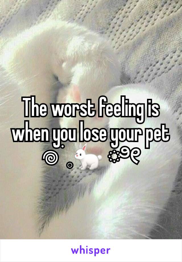 The worst feeling is when you lose your pet
𖦹 ׂ 𓈒🐇 ೀ