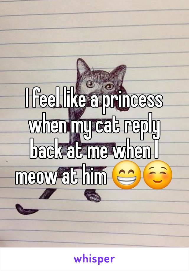 I feel like a princess when my cat reply back at me when I meow at him 😁☺️