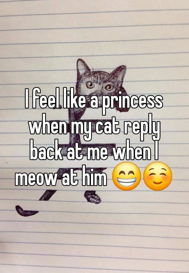 I feel like a princess when my cat reply back at me when I meow at him 😁☺️