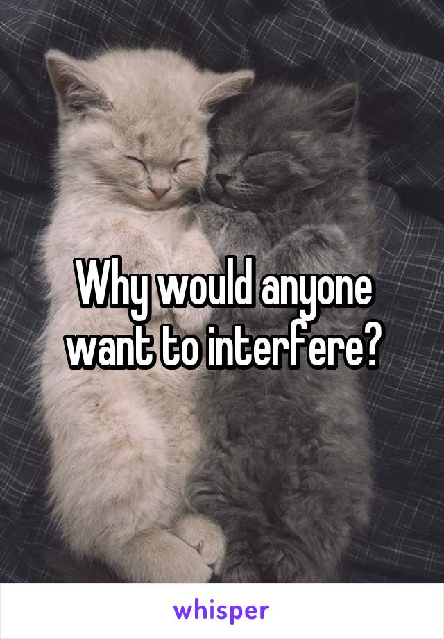 Why would anyone want to interfere?