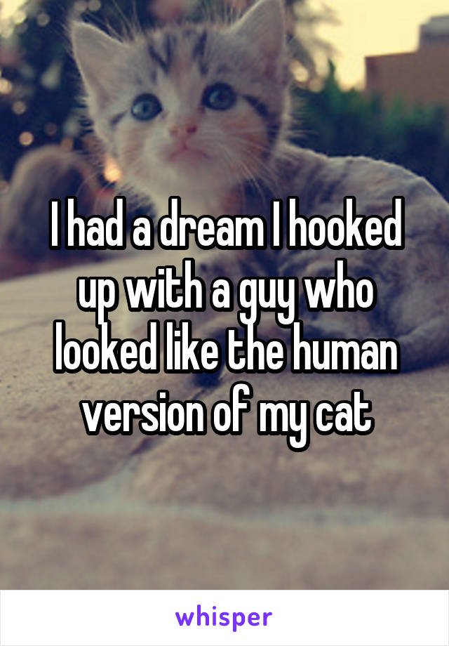 I had a dream I hooked up with a guy who looked like the human version of my cat