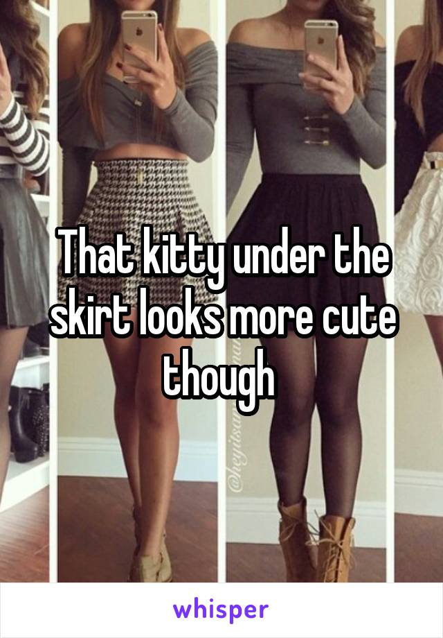 That kitty under the skirt looks more cute though 