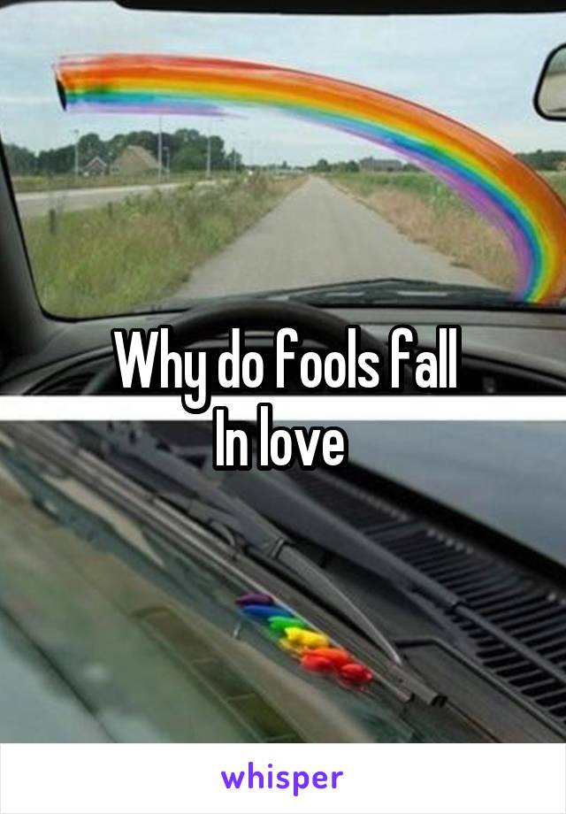 Why do fools fall
In love 