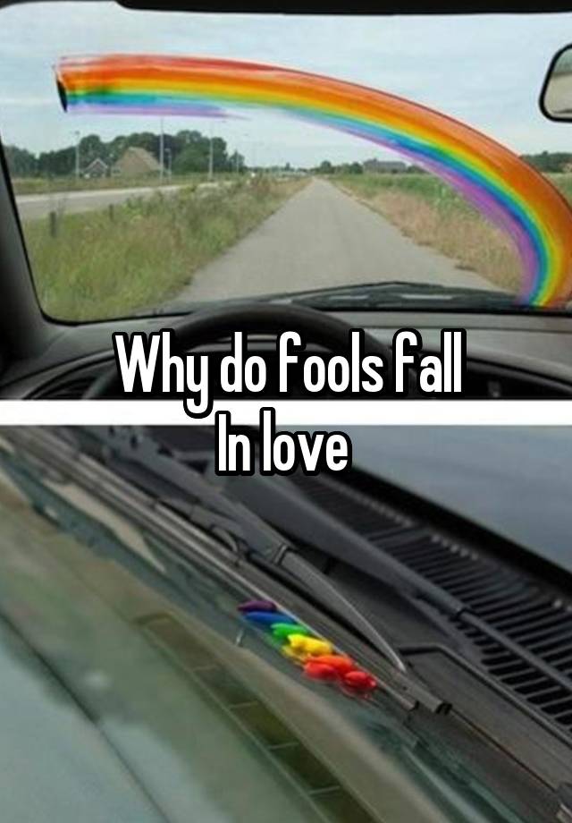 Why do fools fall
In love 