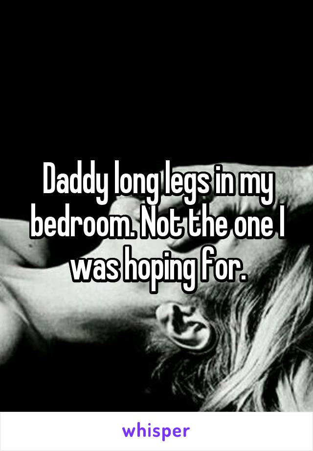 Daddy long legs in my bedroom. Not the one I was hoping for.