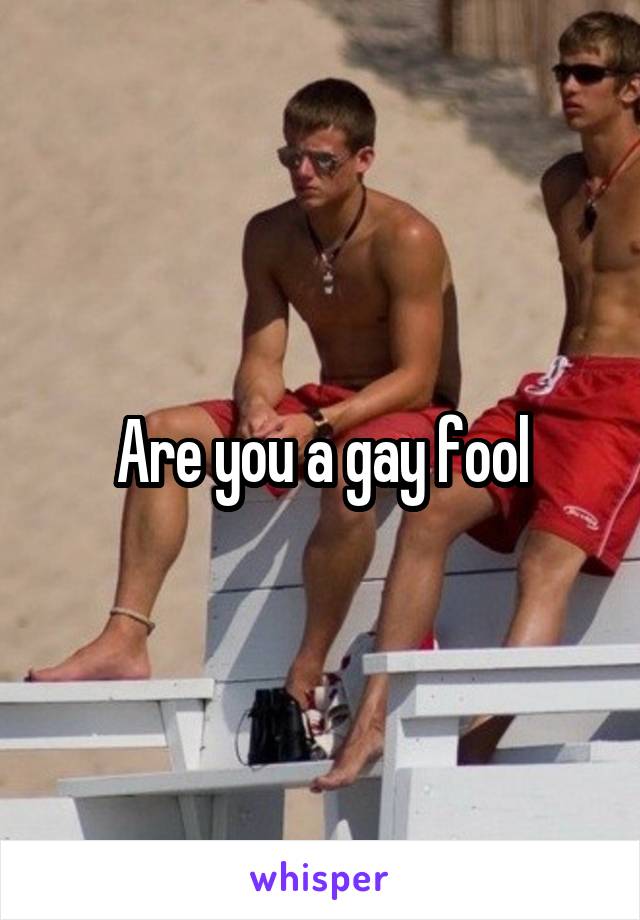 Are you a gay fool