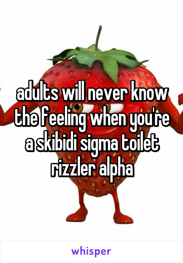 adults will never know the feeling when you're a skibidi sigma toilet rizzler alpha