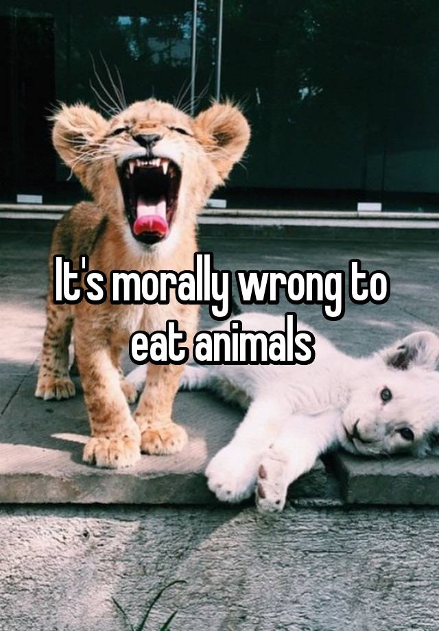It's morally wrong to eat animals