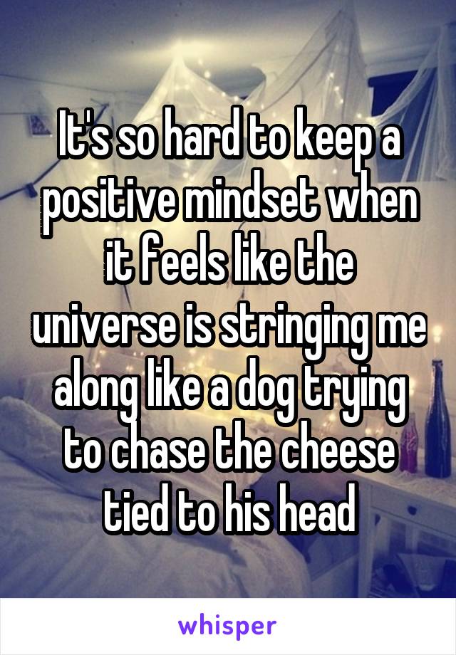 It's so hard to keep a positive mindset when it feels like the universe is stringing me along like a dog trying to chase the cheese tied to his head