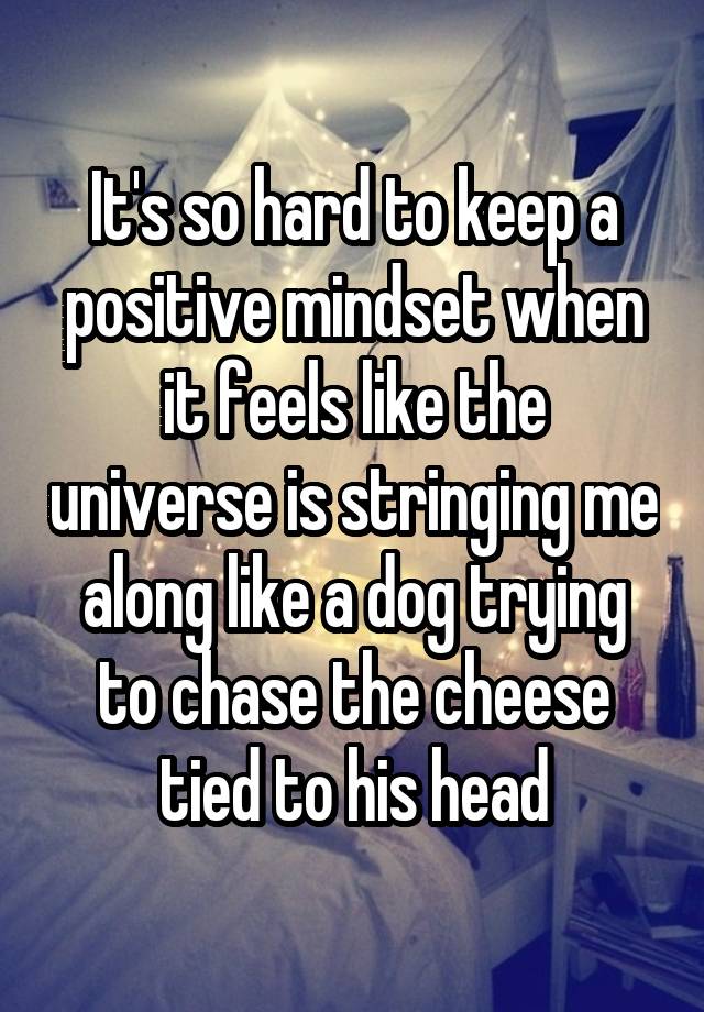 It's so hard to keep a positive mindset when it feels like the universe is stringing me along like a dog trying to chase the cheese tied to his head