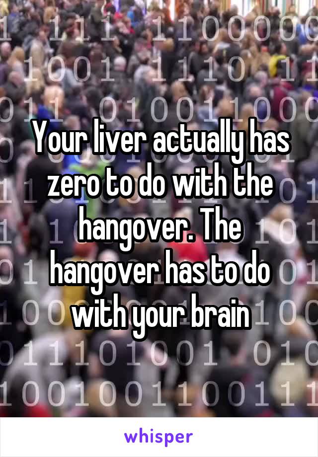 Your liver actually has zero to do with the hangover. The hangover has to do with your brain
