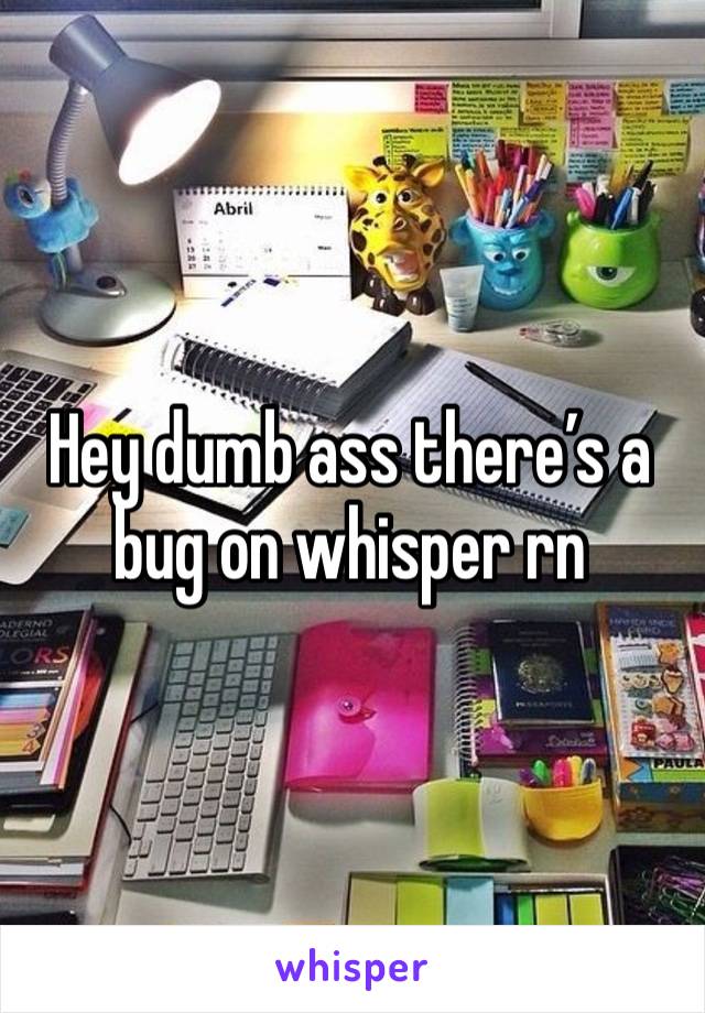 Hey dumb ass there’s a bug on whisper rn 