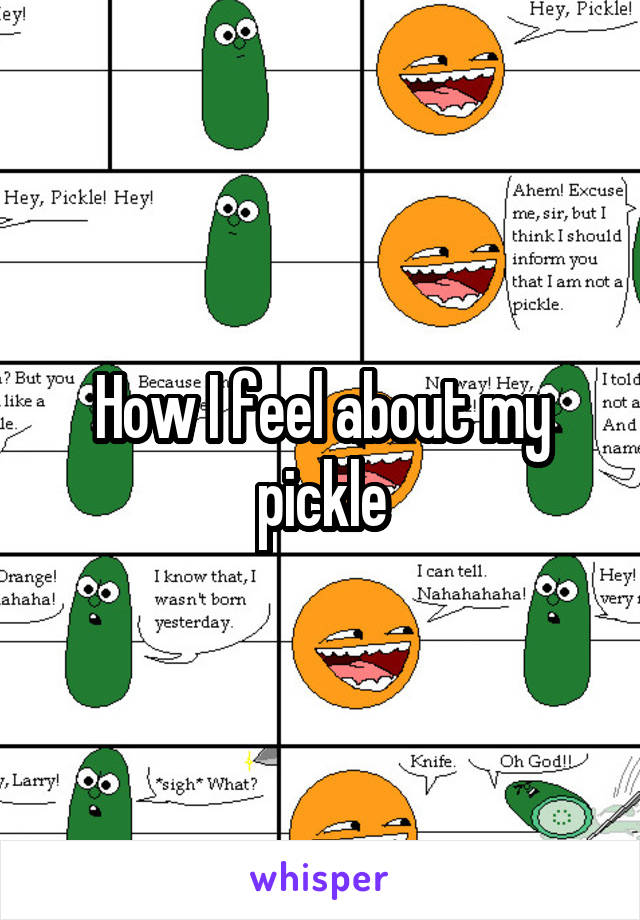 How I feel about my pickle