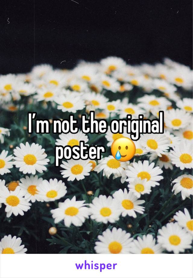 I’m not the original poster 🥲